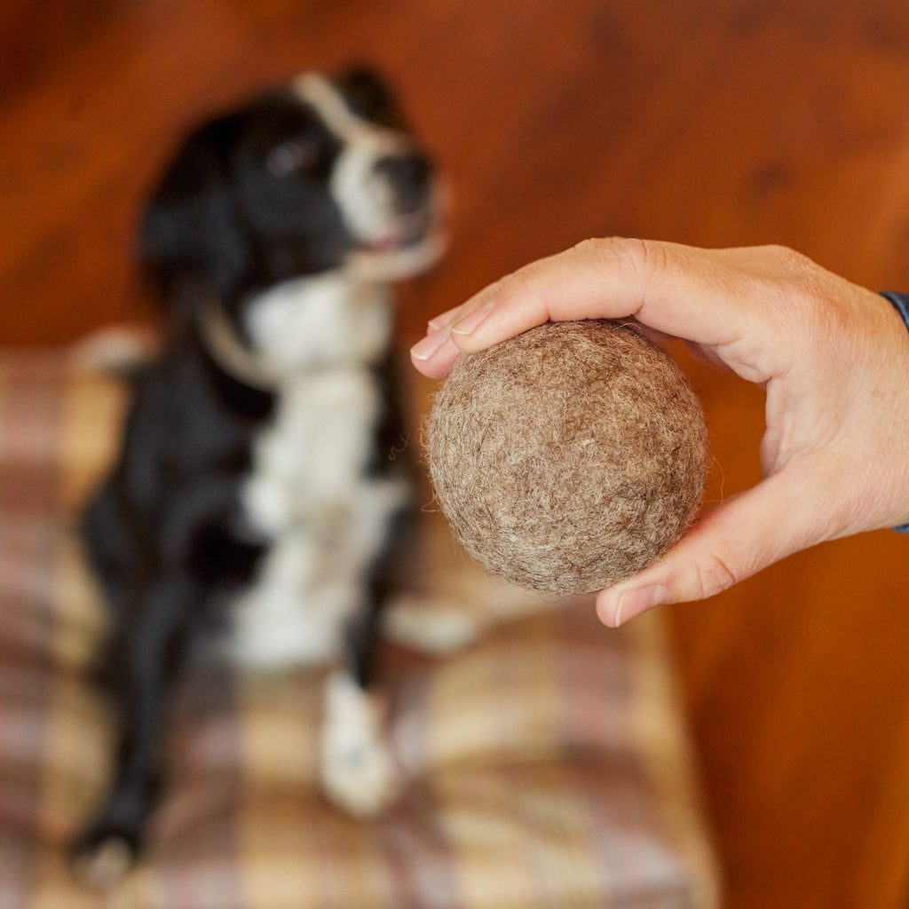 Wollfilzball für den Hund