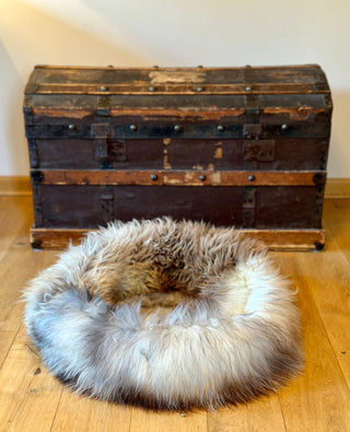 Sheep Donut and an old travel suitcase