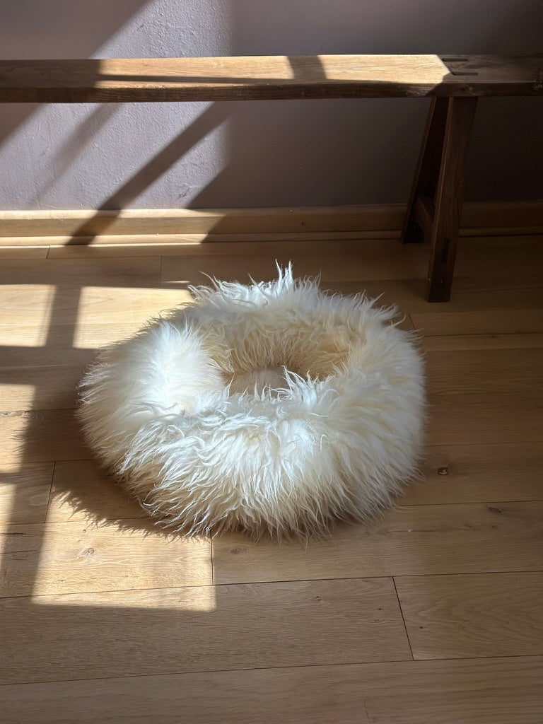 Dog Too Cold at Night? Cold Floors and Drafts Could Be Why Your Dog Can’t Settle