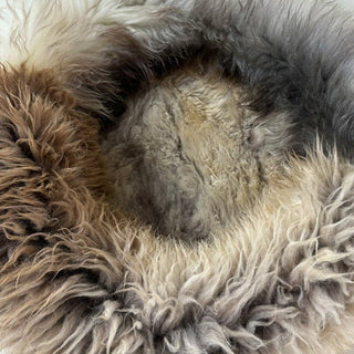 Inside of a grey-brown sheep donut