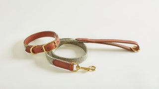 Tweed Collar and matching Lead in colour light green HEATHER