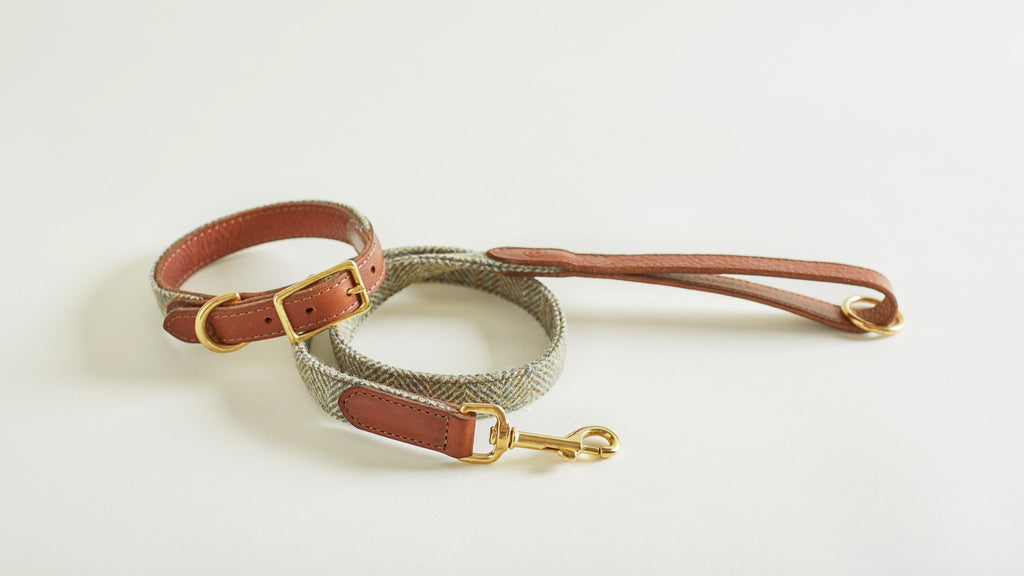 Tweed Collar and matching Lead in colour light green HEATHER