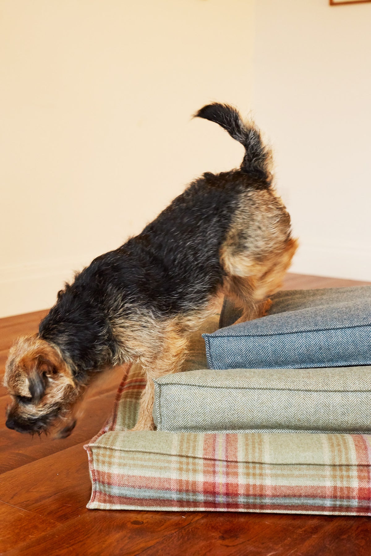 TWEED DOG BEDS HELEN WELLS