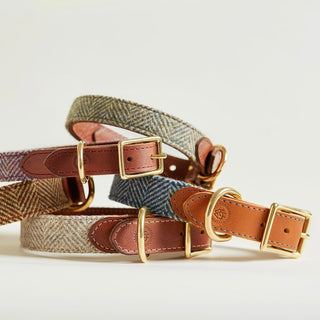 Tweed Halsband HOLLYHOCK 