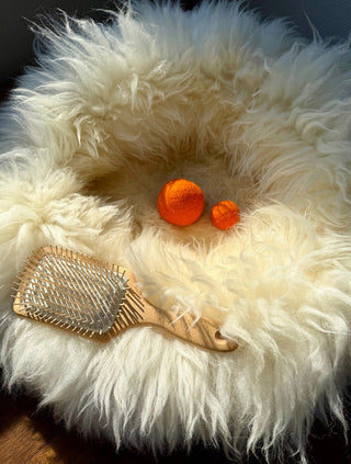 Sheep Donut mit passender Bürste