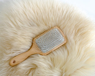 Sheep Donut Liner Size S mit Donut Brush