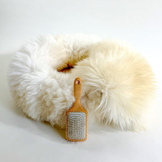 Sheep Donut in Creme with Liner and Brush