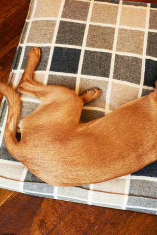 Dog Bed Tweed COVER CHARCOAL