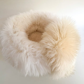 Sheep Donut with Liner in creme
