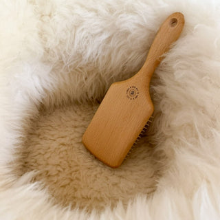 Sheep Donut with Brush