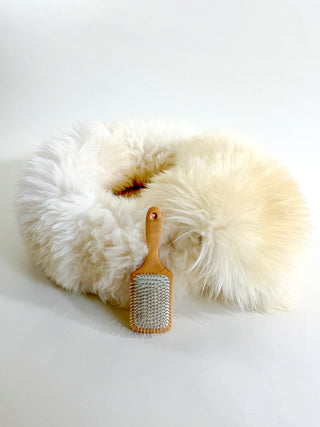 Sheep Donut Set with liner and brush Creme