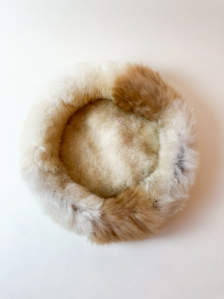 top view on golden sheep donut Champagner