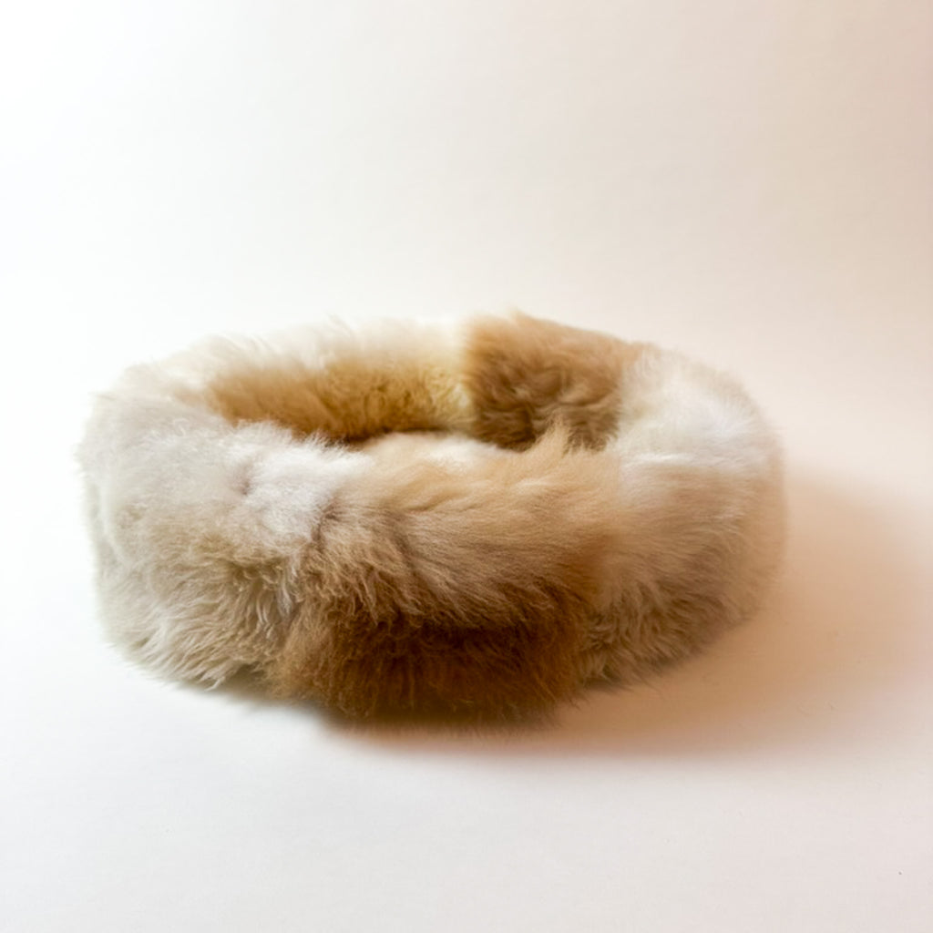 light and golden sheep donut colour Champagner