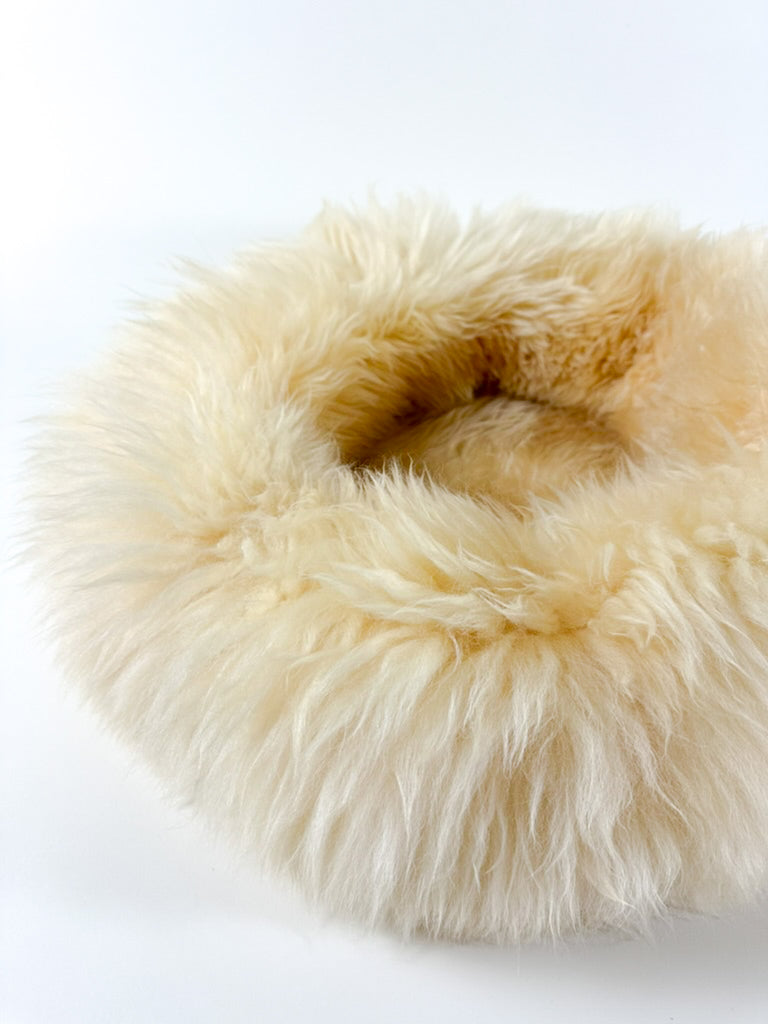 detail view on fur of sheep donut Dune Gold