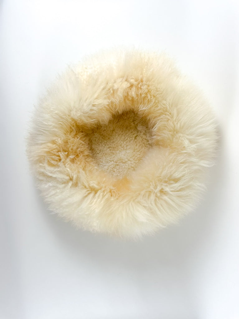 view on empty sheep donut Dune Gold on white surface
