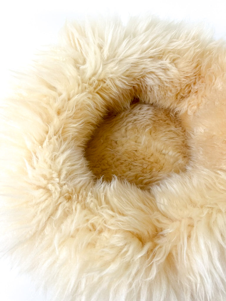 detail close up on sheep donut Dune Gold