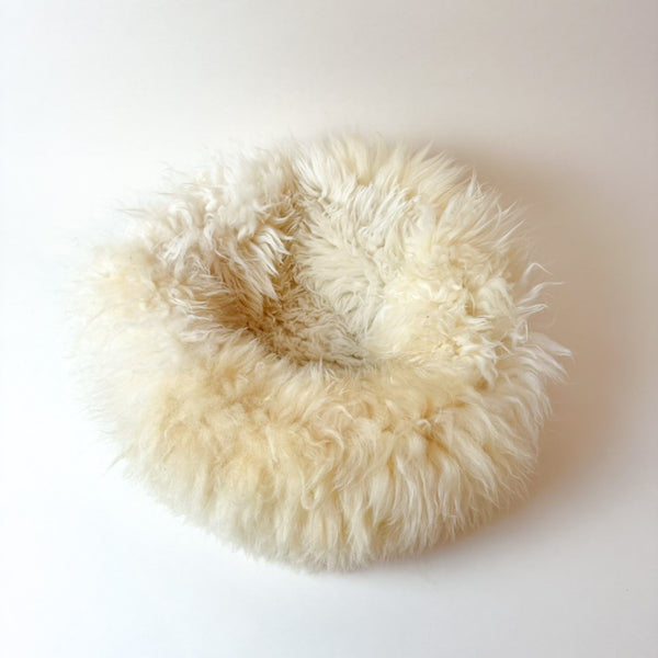 top view on long fur sheep donut Fluffy
