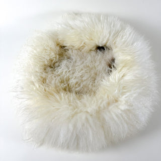 clean creamy white sheep donut colour Rain Spot