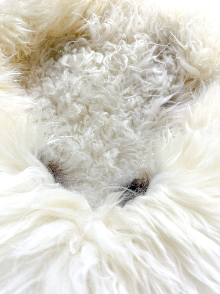 detail of little black spots in white sheep donut