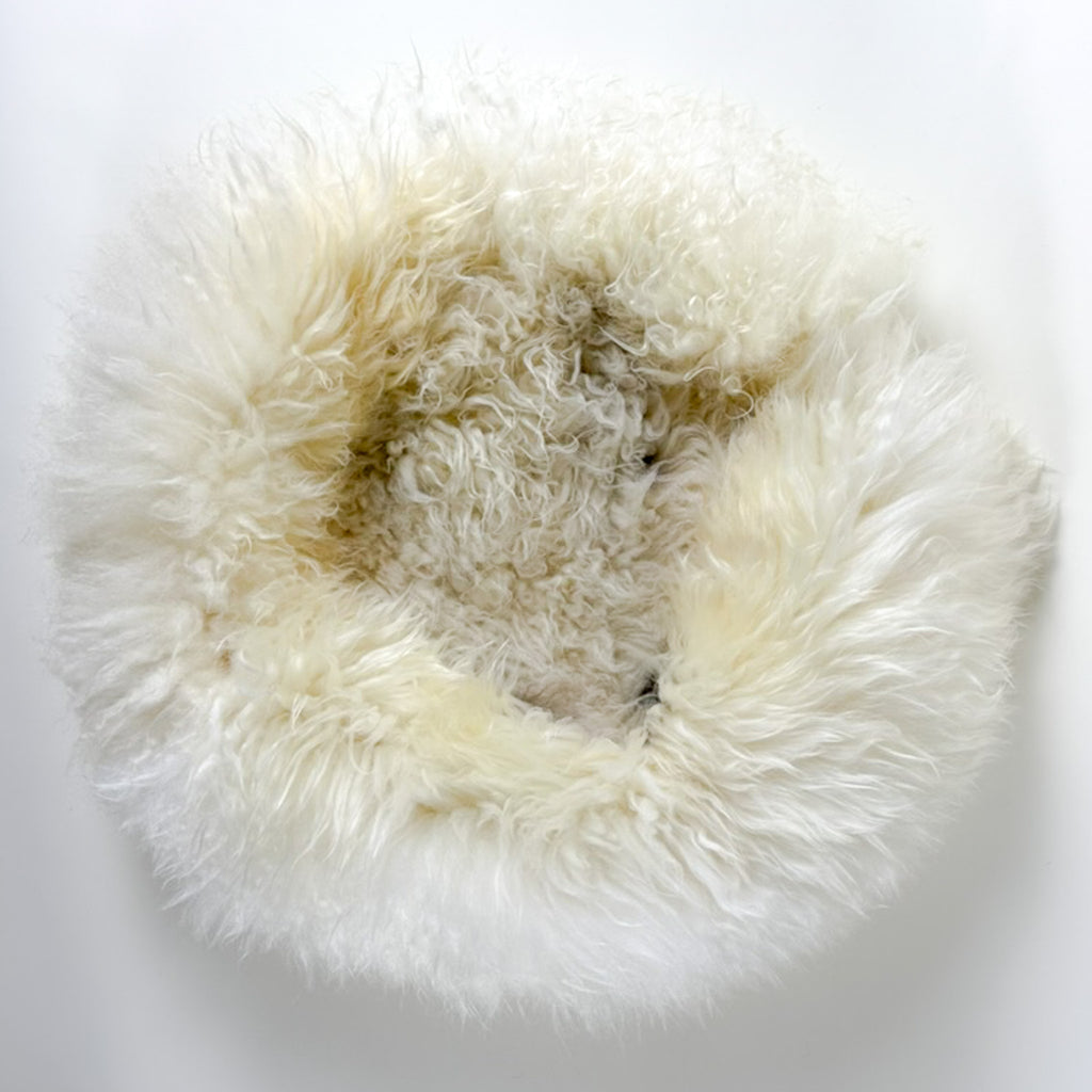 top view of sheep donut Rain Spot