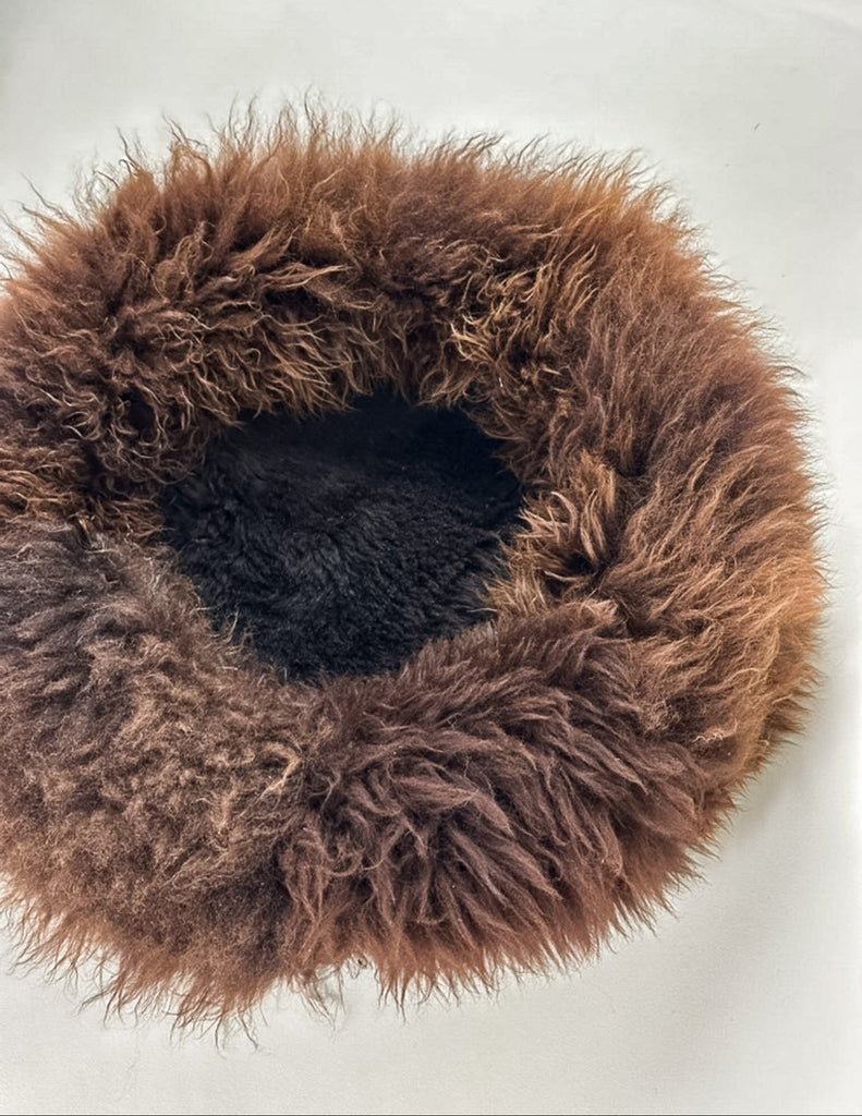 top view on sheep donut colour Root Ground