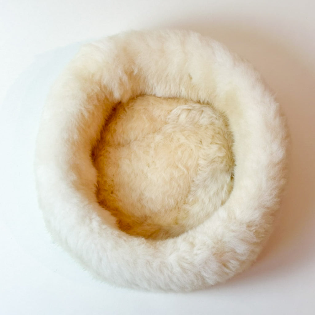 top inside view of shell pearl sheep donut