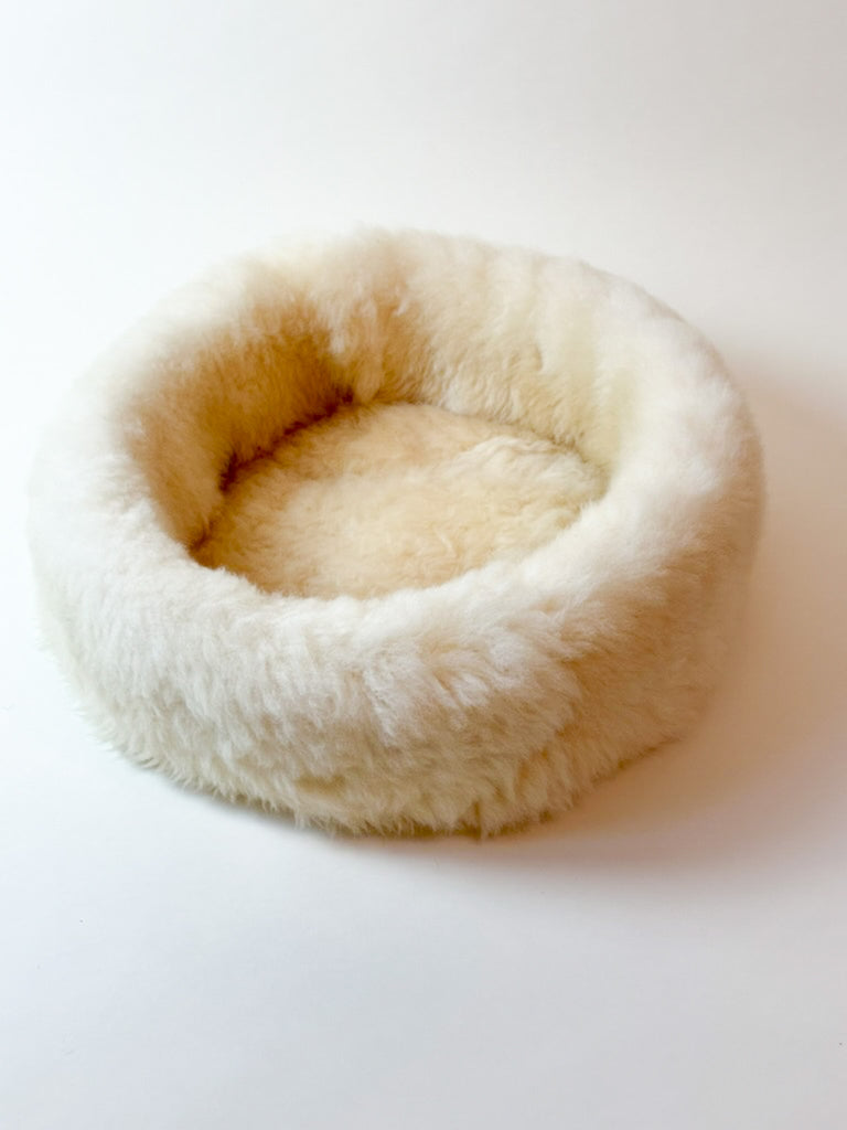 side view on shell pearl sheep donut