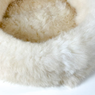 detail of fur of shell pearl sheep donut