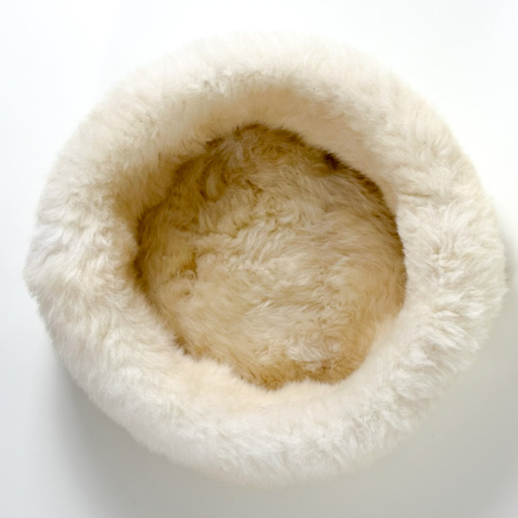simple clean Sheep Donut colour Shell Pearl
