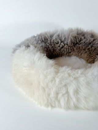 colour details of sheep donut Shore Clay