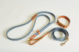 Set of Body Lead and Classic Lead with matching collar in colour Magpie