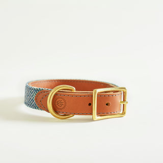 Tweed Collar in colour blue Magpie