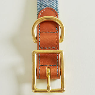 Details of collar Magpie with italian leather and full brass buckle