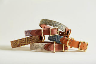 all tweed collars closed on white surface