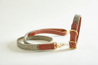 Collar and lead in Tweed Heather green