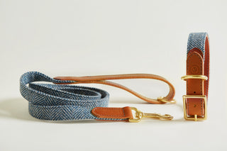 Tweed Lead and Collar in colour blue Magpie