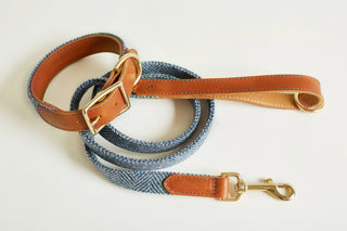 Collar and Lead Tweed colour Magpie as a set