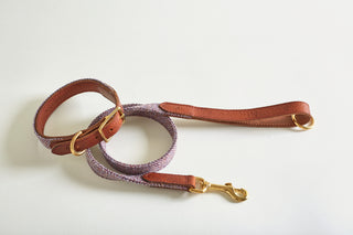 set of collar and lead in tweed colour Hollyhock