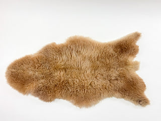 sheep coat view flat in caramel colour