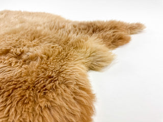 view of details of sheep coat 