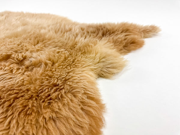 view of details of sheep coat 