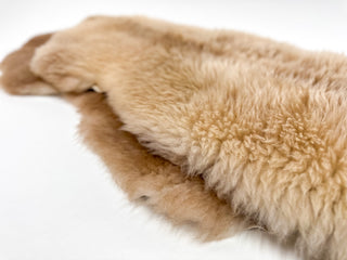 two sheep coats in colour champagner with details