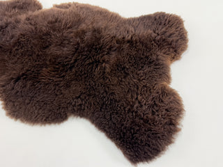furry and fluffy details of sheep coat in brown