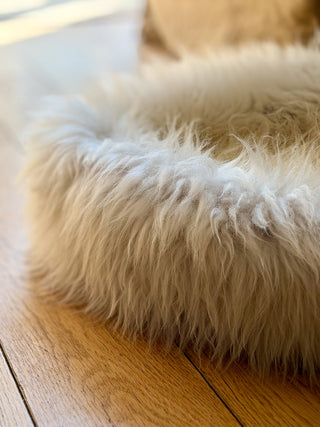 Sheep Donut Detail