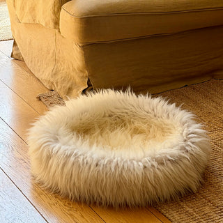 Sheep Donut details of fur