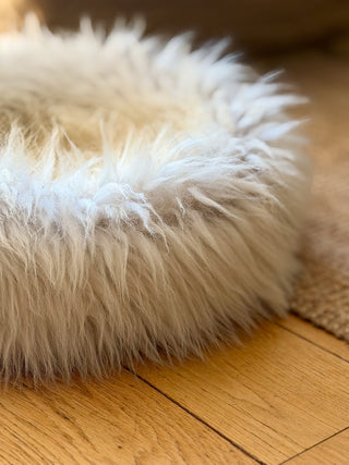 Sheep Donut Fur Detail