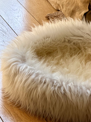 Sheep Donut Fur Detail
