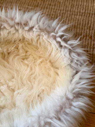 Sheep Donut Fur Detail
