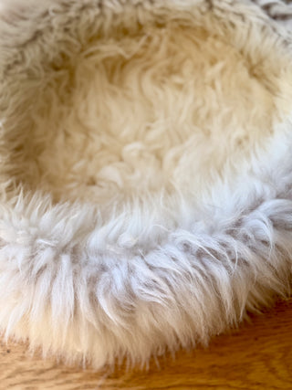 Sheep Donut Fur Detail
