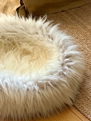 Sheep Donut Fur Detail